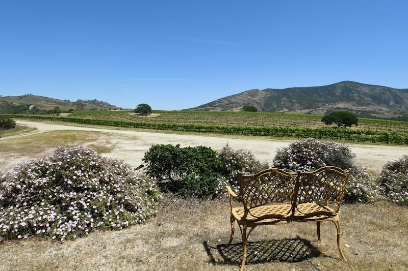 Pictures of The Inn at The Pinnacles Scenic View