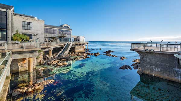 Monterey Area Attractions