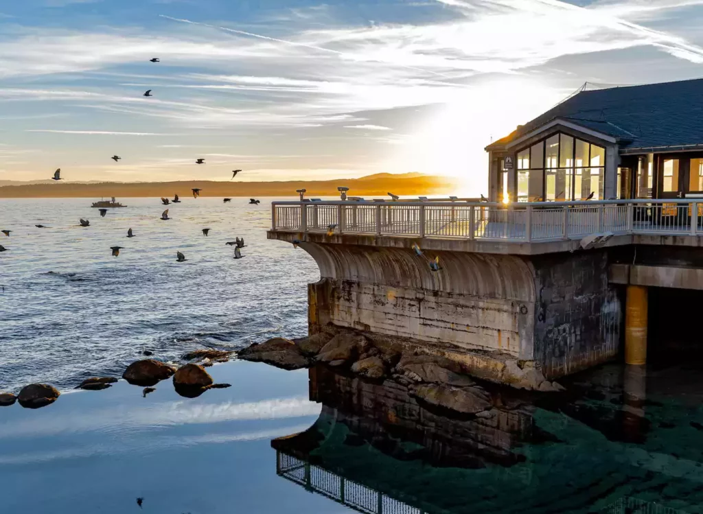 Monterey Bay Aquarium, showcasing diverse marine life and exhibits.