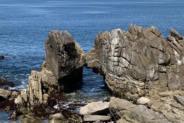 Pacific Grove, California - Discover four cool, hidden, and unusual attractions awaiting exploration in this charming coastal town.