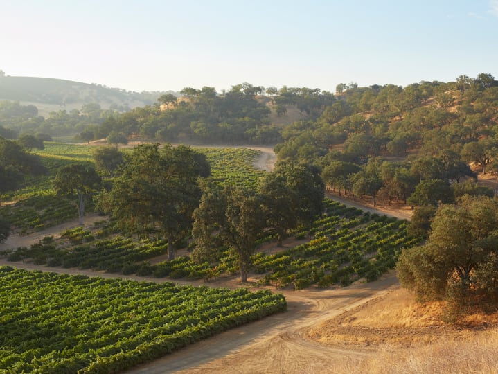 Explore Paso Robles Wine Country, renowned for its world-class wineries.