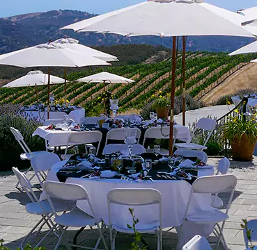 A table set with white chairs and umbrellas, creating a serene outdoor seating arrangement.