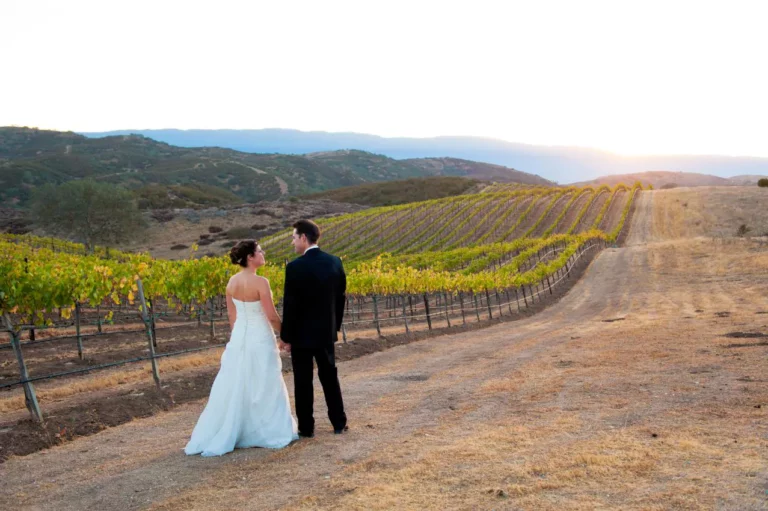 A bride and groom standing on a dirt road in front of rows of vines.